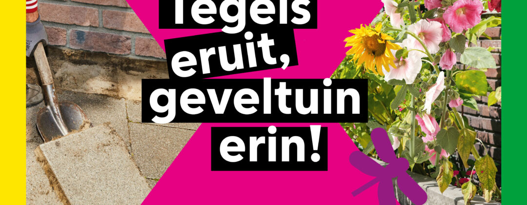 Tegels eruit, geveltuin erin poster roze Amsterdam Weerproof