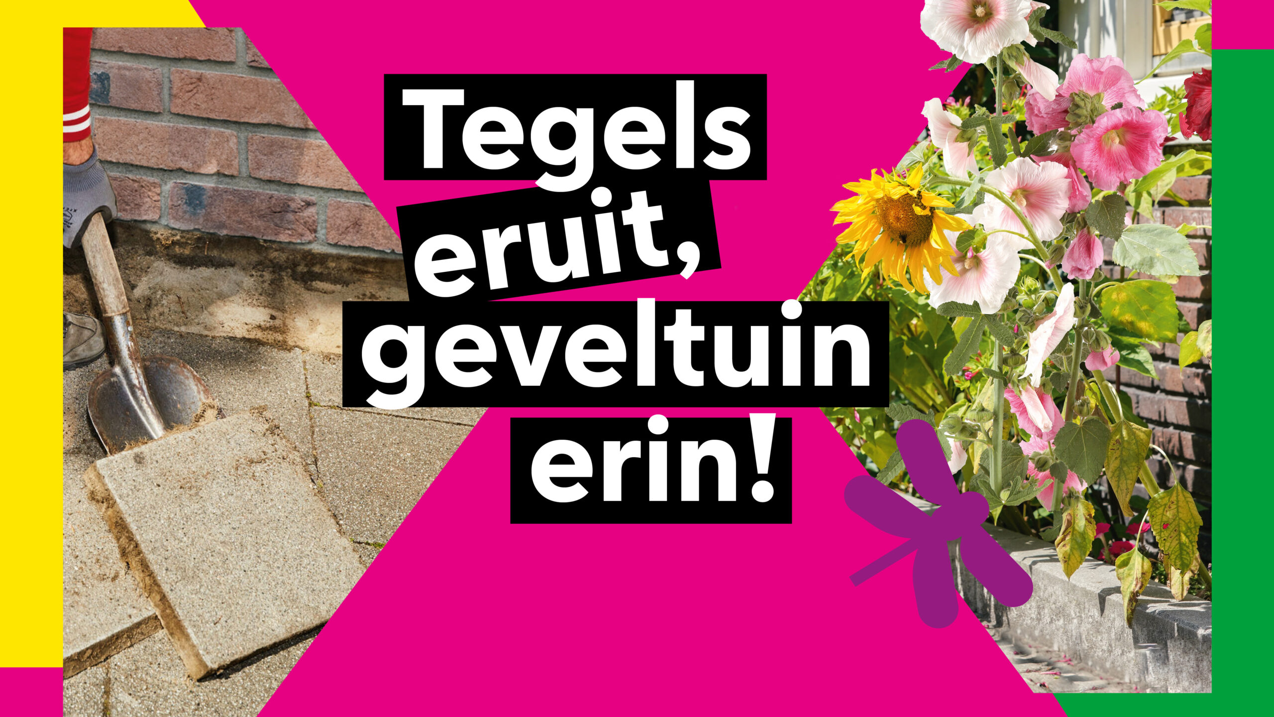 Tegels eruit, geveltuin erin poster roze Amsterdam Weerproof