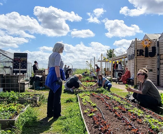 verbroerderij amsterdam