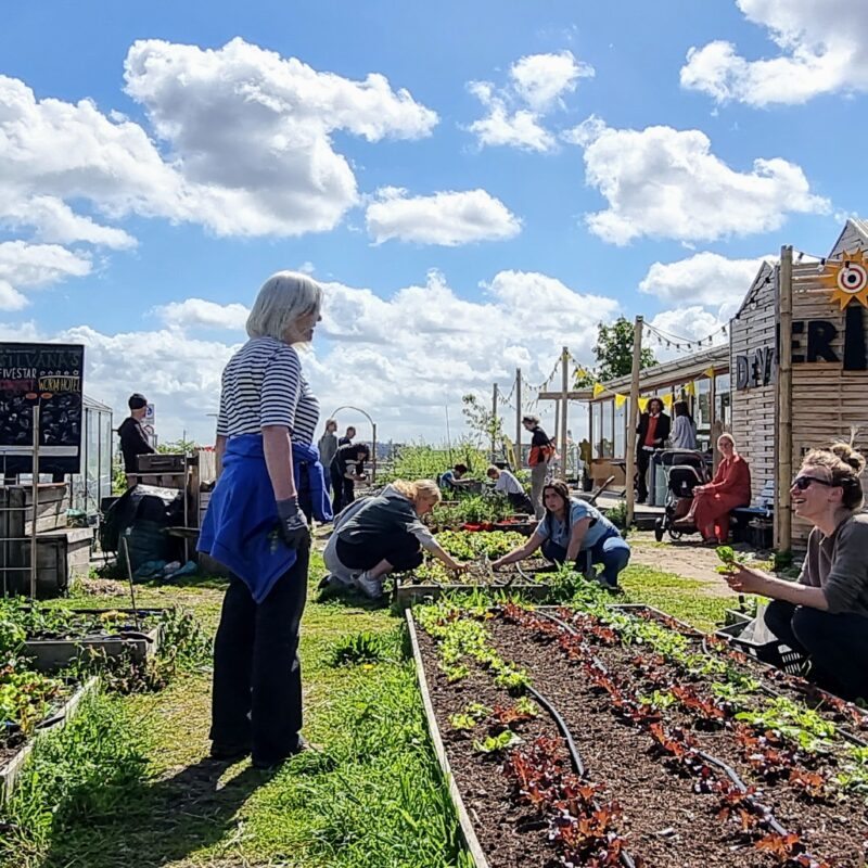 verbroerderij amsterdam
