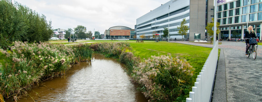 Greppel bij Science Park UvA Amsterdam Weerproof