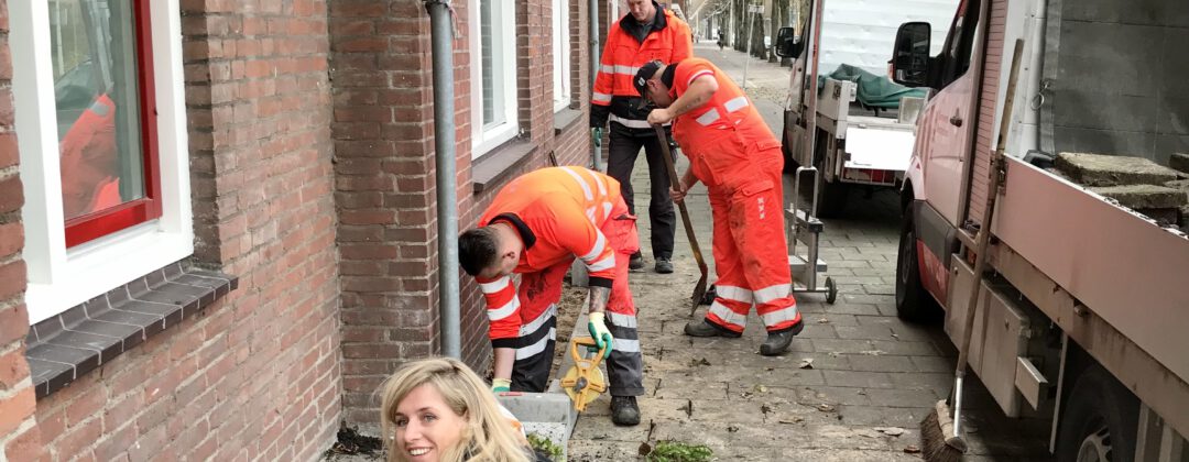 Vrijwilligers leggen 1000e geveltuin aan Amsterdam Weerproof