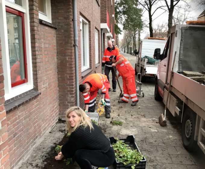 Vrijwilligers leggen 1000e geveltuin aan Amsterdam Weerproof