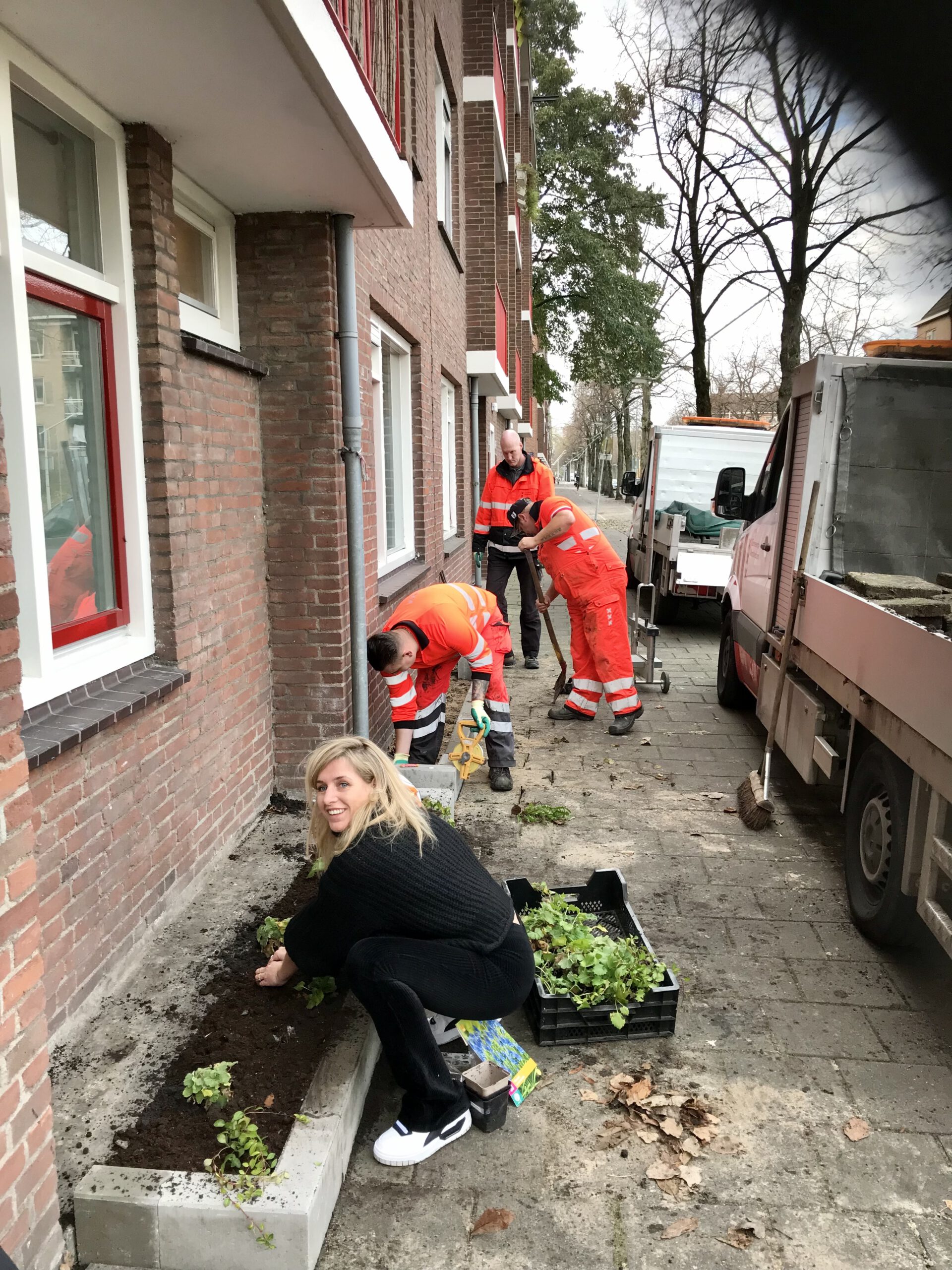 Vrijwilligers leggen 1000e geveltuin aan Amsterdam Weerproof