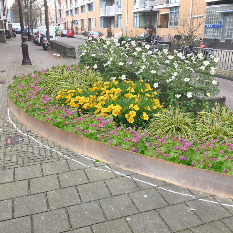 Nieuwe plantenvakken in de Commelinstraat Amsterdam Weerproof