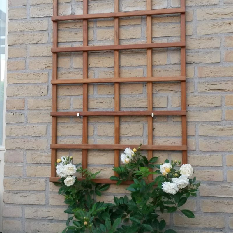 Geveltuin met witte bloemen Amsterdam Weerproof