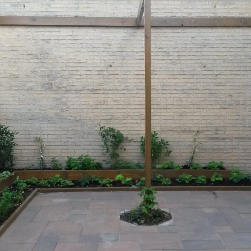 Regenton en geveltuin op patio Amsterdam Weerproof