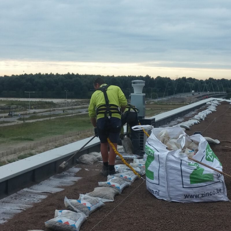 Aanleg groen dak Blok 54 IJburg Amsterdam Weerproof