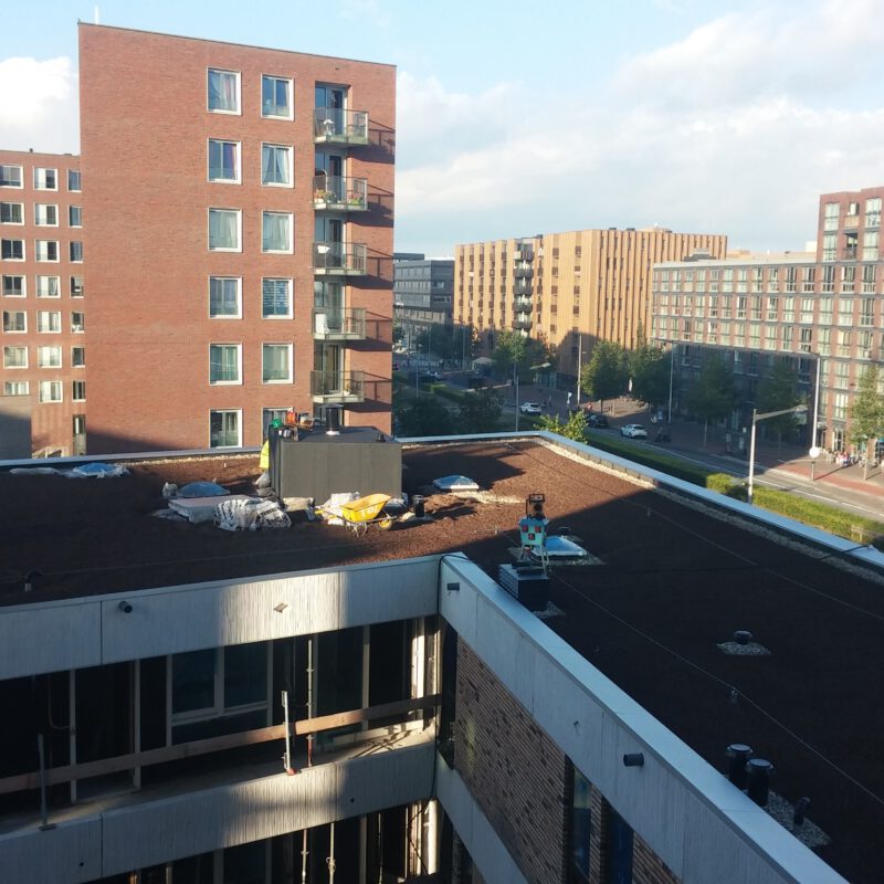 Aanleg groen dak Blok 54 IJburg Amsterdam Weerproof