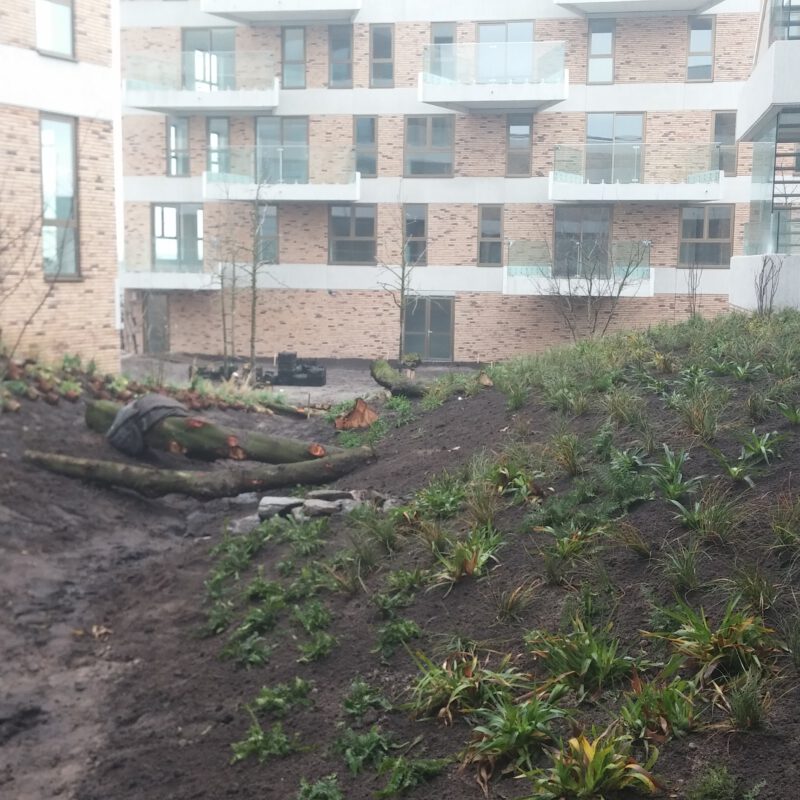 Aanleg binnentuin Blok 54 IJburg Amsterdam Weerproof