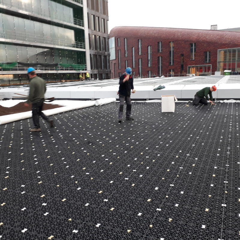 Aanleg van waterrretentiedak op de Vrije Universiteit Amsterdam Weerproof