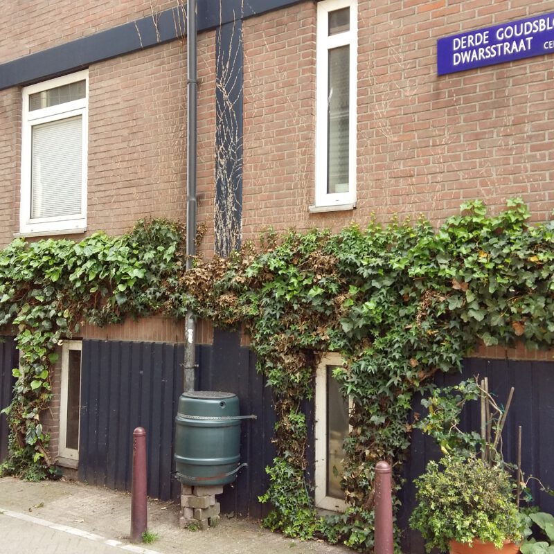 Regenton naast groene geven in Centrum Amsterdam Weerproof