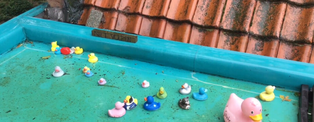 Waterdak met badeendjes zelfgebouwd succesverhaal Maaike Amsterdam Weerproof