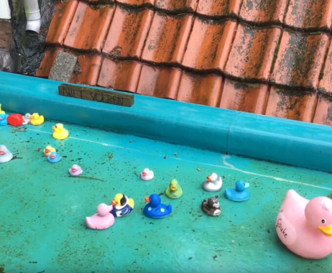 Waterdak met badeendjes zelfgebouwd succesverhaal Maaike Amsterdam Weerproof