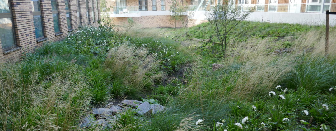 Event: Van der Tol medewerkersdag