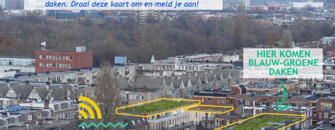 Blauw groene daken Transvaalbuurt Amsterdam Weerproof