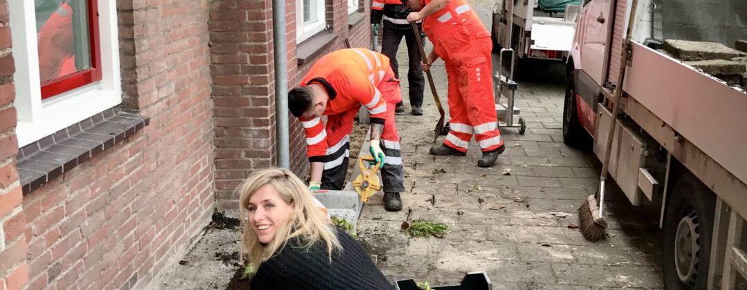 Vrijwilligers leggen 1000e geveltuin aan Amsterdam Weerproof