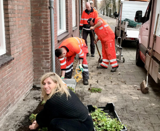 Vrijwilligers leggen 1000e geveltuin aan Amsterdam Weerproof