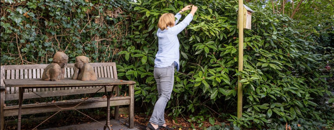 groene tuin met vrouw, tafel en vogelhuis voor Amsterdam Weerproof