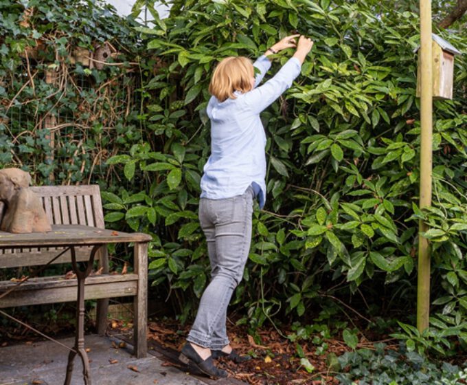 groene tuin met vrouw, tafel en vogelhuis voor Amsterdam Weerproof