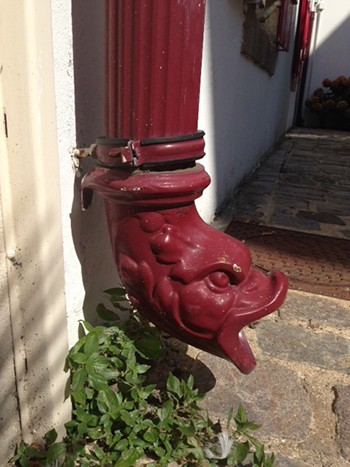 Regenpijp afkoppelen met drakenkop afkoppelstuk Amsterdam Weerproof