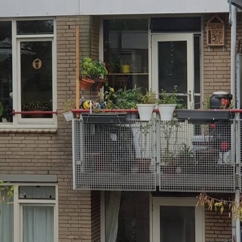 Groen balkon met planten voor regenopvang Amsterdam Weerproof