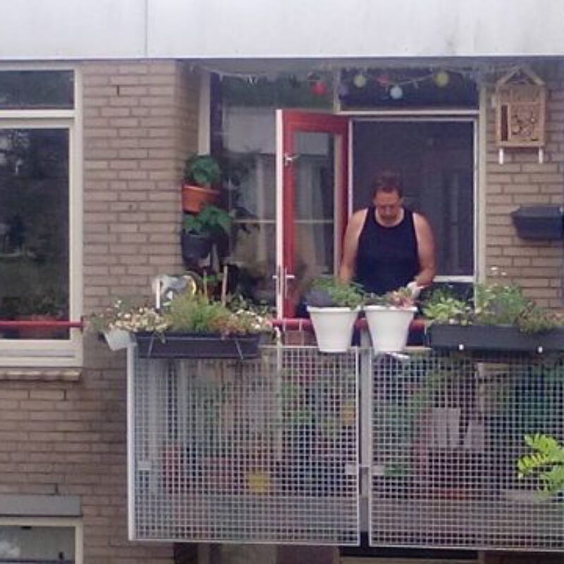 Man op groen balkon met planten voor regenopvang Amsterdam Weerproof