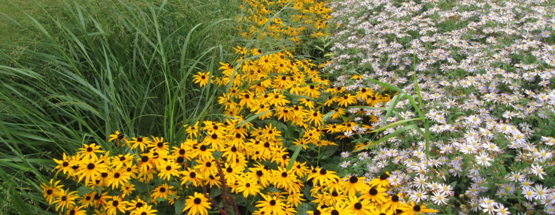 Groen in de Batjanstraat Amsterdam Weerproof