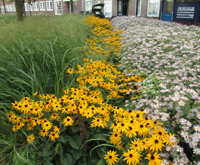 Groen in de Batjanstraat Amsterdam Weerproof