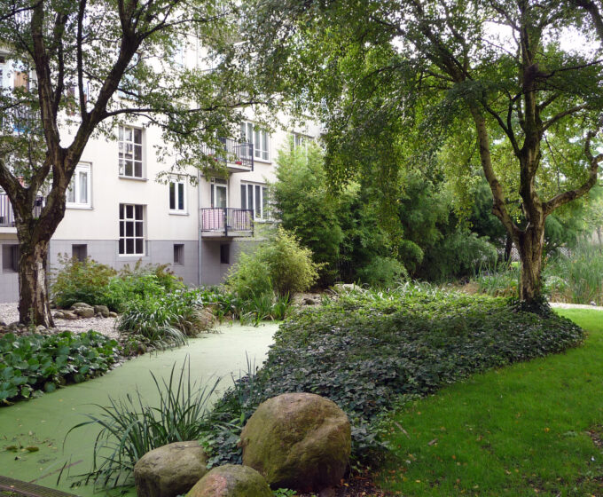 Groene tuin met bomen en kroos op water als maatregel tegen extreme neerslag Amsterdam Weerproof