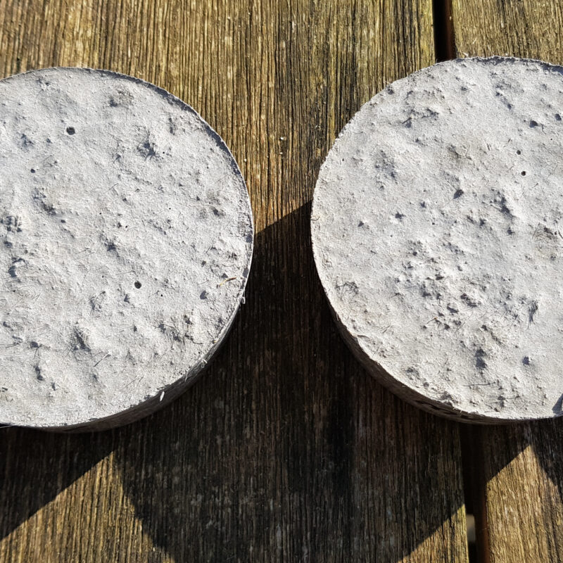 Bioreceptief beton Amsterdam Weerproof