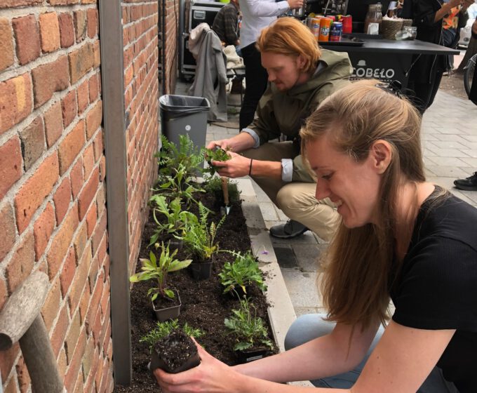 Vrijwilligers leggen 1000e geveltuin aan Amsterdam Weerproof