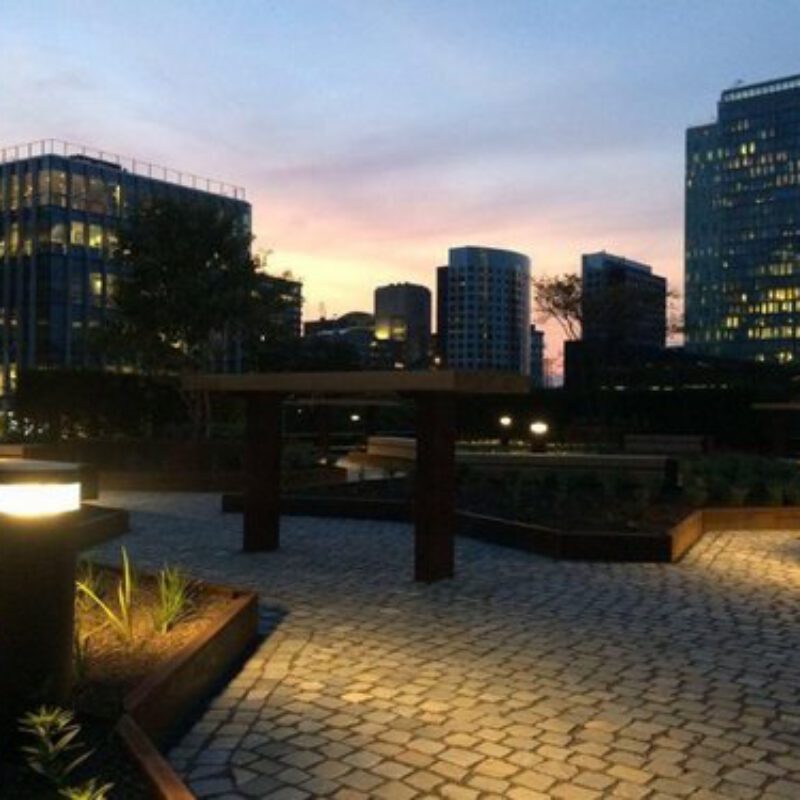 Avond Circl groene oase op de Zuidas Amsterdam Weerproof