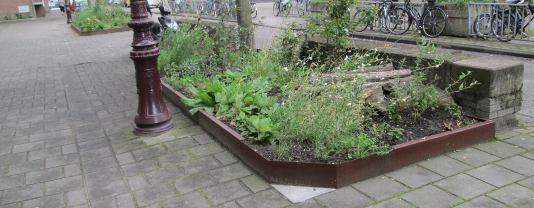 Nieuwe plantenvakken in de Commelinstraat Amsterdam Weerproof