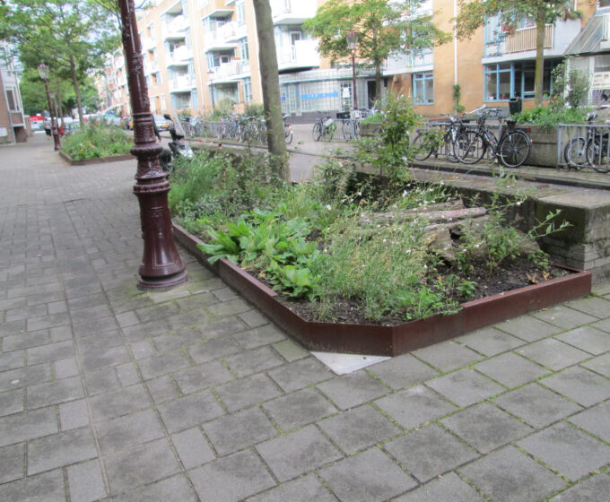 Nieuwe plantenvakken in de Commelinstraat Amsterdam Weerproof