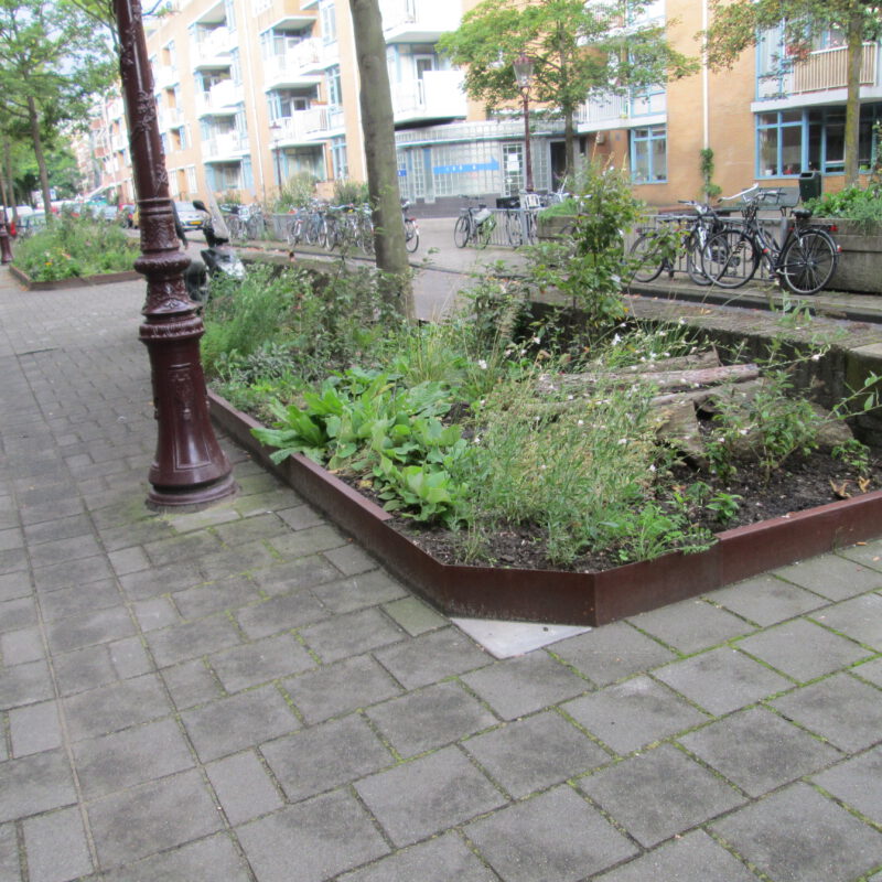 Nieuwe plantenvakken in de Commelinstraat Amsterdam Weerproof