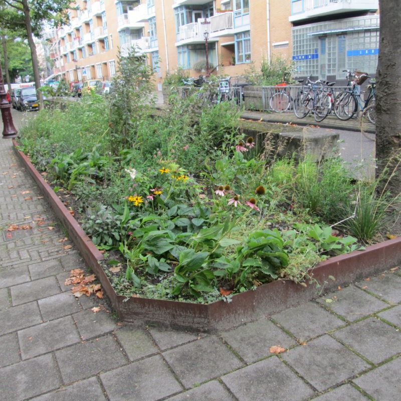 Nieuwe plantenvakken in de Commelinstraat Amsterdam Weerproof