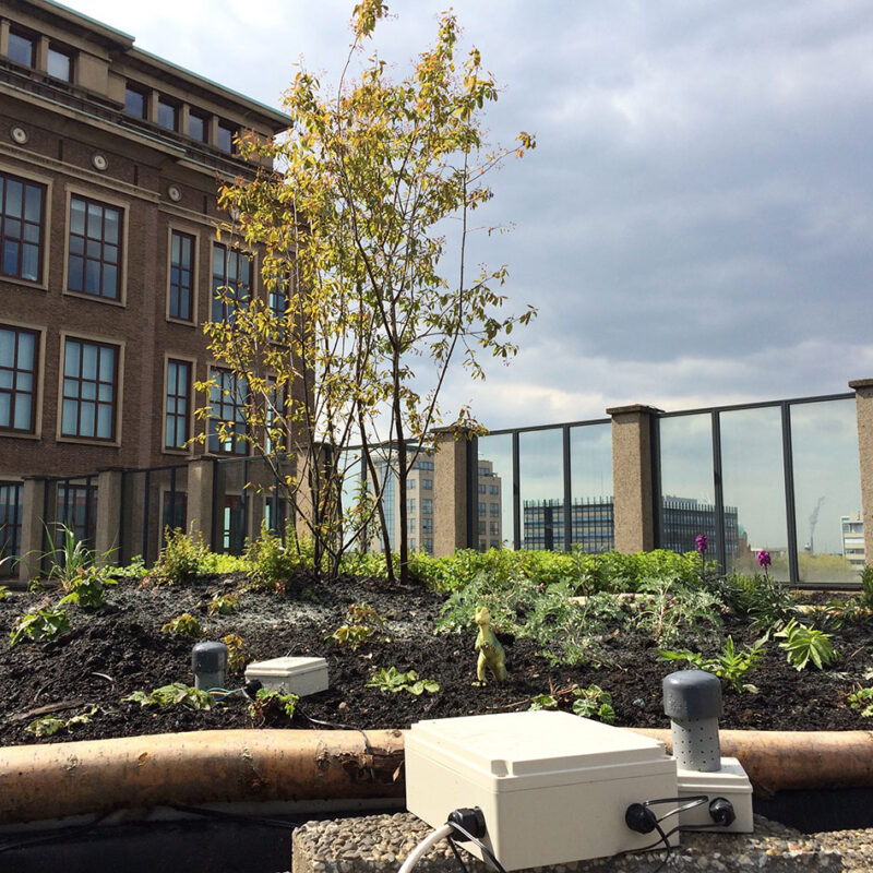 Daklab met sensoren op daktuin op het dak van HvA Amsterdam Weerproof