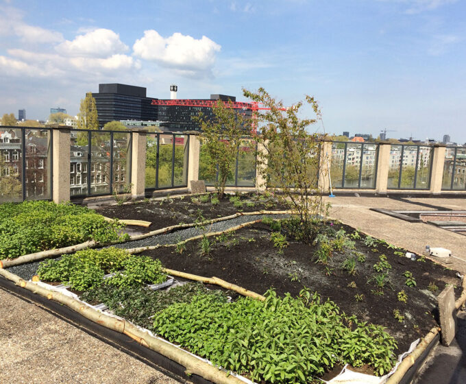 Daklab Hogeschool van Amsterdam Weerproof