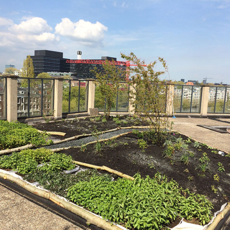 Daklab Hogeschool van Amsterdam Weerproof