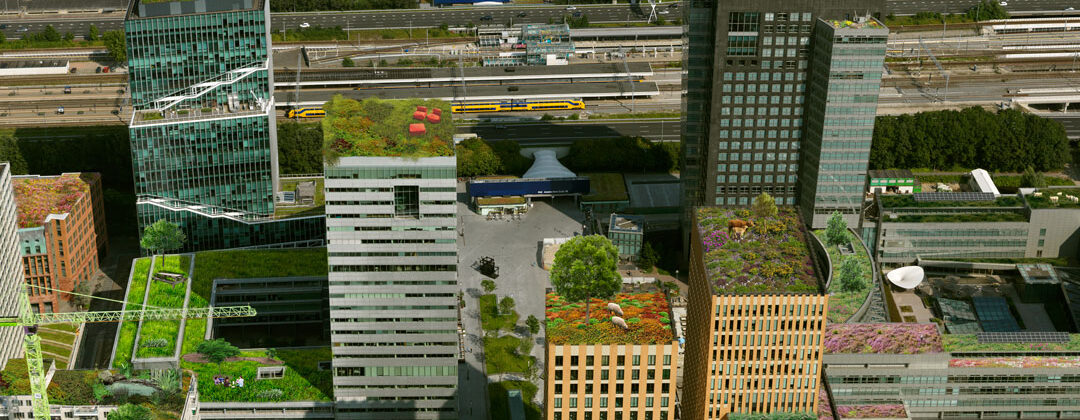Groene daken kansen op de Zuidas Amsterdam Weerproof