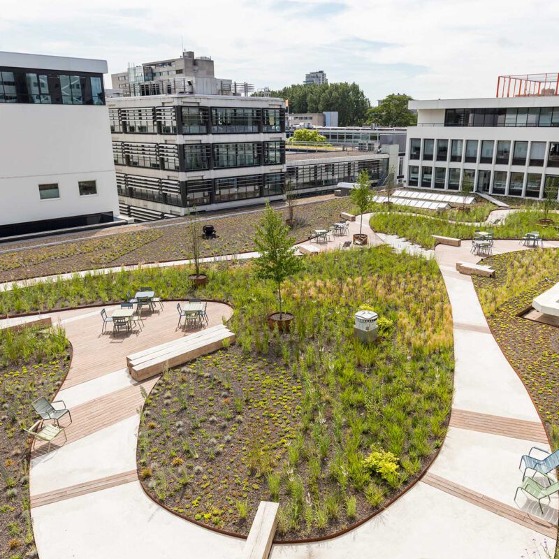 Groen polderdak bij Breevast