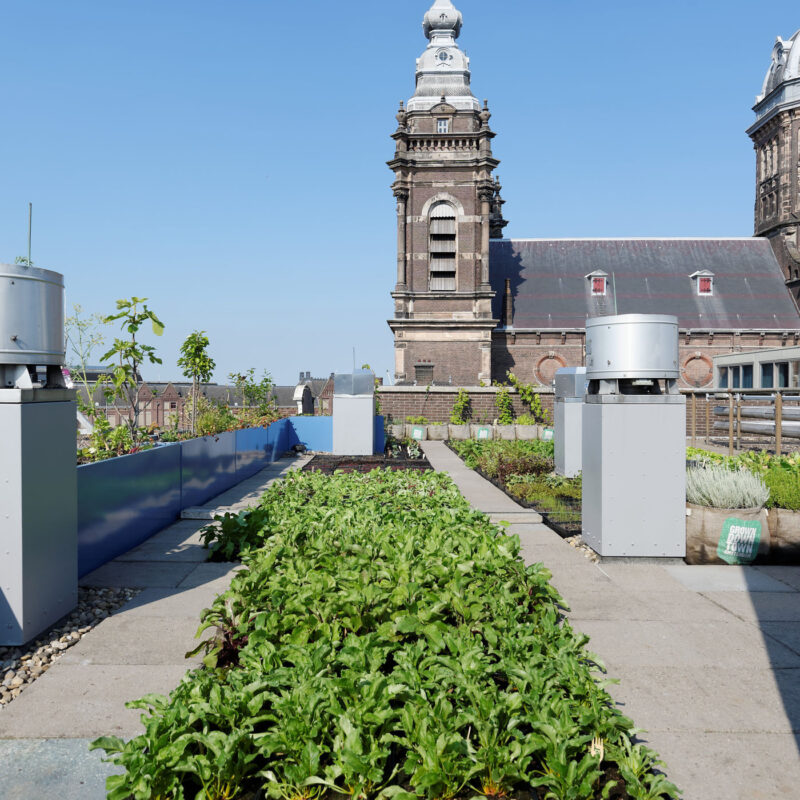 Groen dak met etenswaren Amsterdam Weerproof