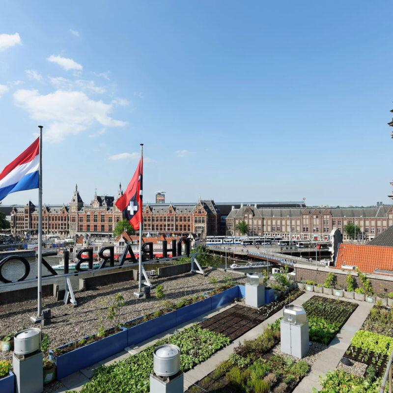 Groen dak met groente bij Rooffood restaurant Vermeer Amsterdam Weerproof