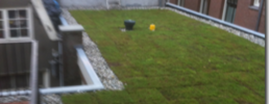 Groen dak op het Damrak Amsterdam Weerproof