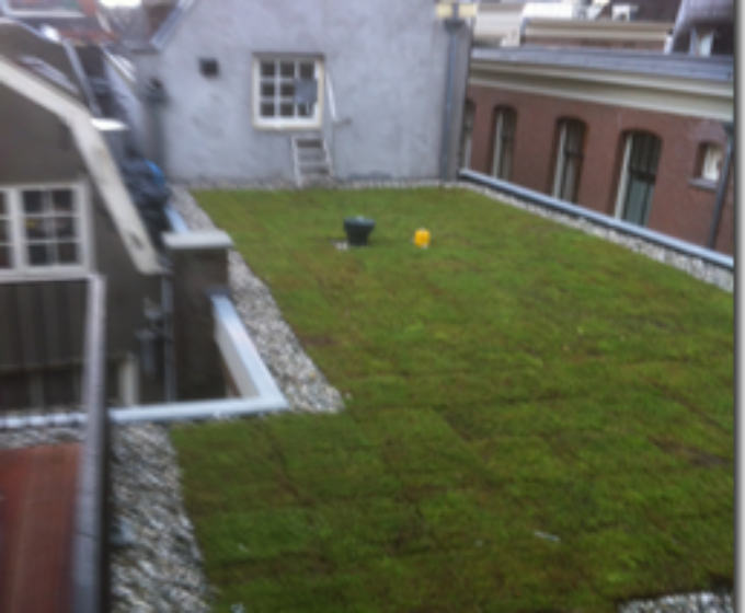 Groen dak op het Damrak Amsterdam Weerproof