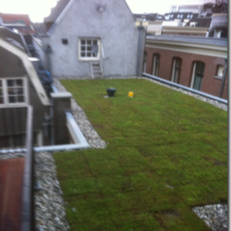 Groen dak op het Damrak Amsterdam Weerproof