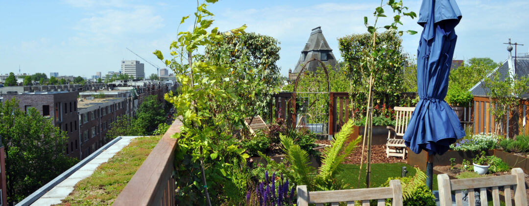 Weelderige daktuin met groen dak Amsterdam Weerproof