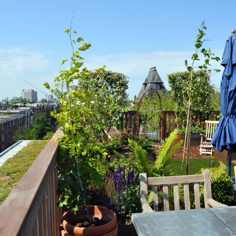 Weelderige daktuin met groen dak Amsterdam Weerproof