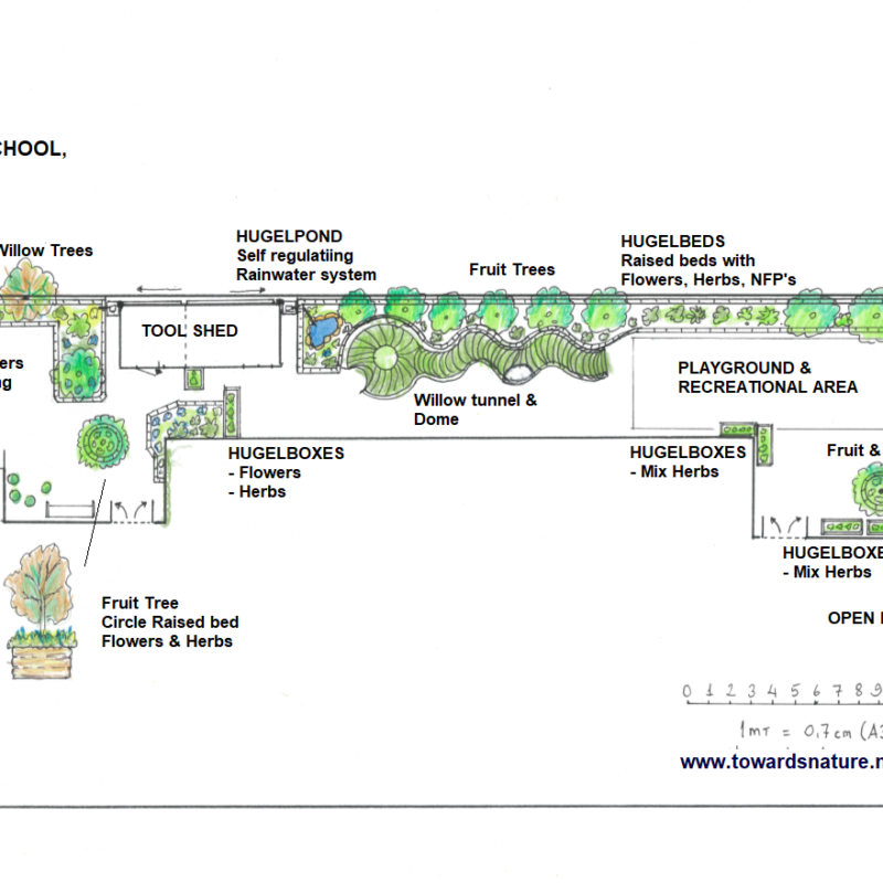 Dwarsdoorsnede van groen schoolplein van Europaschool Amsterdam Weerproof